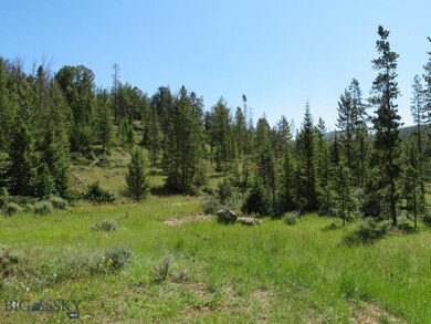 TBD Quartz Hill - Thistle Lode Rd, Wise River, MT 59762 - photo 2
