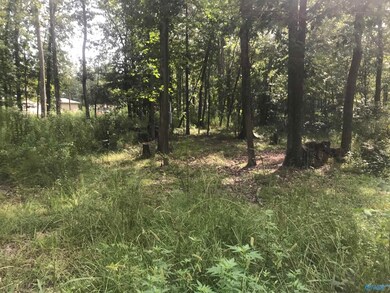 lot 35