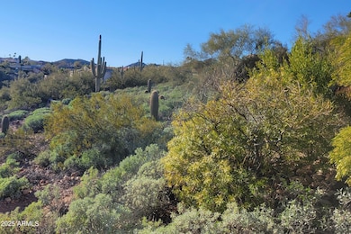 15911 E Burro Dr, Fountain Hills, AZ 85268 - photo 5