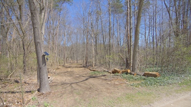 4336 Hills Haven Rd, Buchanan, MI 49107 - photo 6