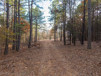 TBD Kimbley Ln, Rudy, AR 72952 - photo 3