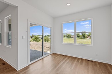 10645 Blaine St, Crown Point, IN 46307 - photo 6