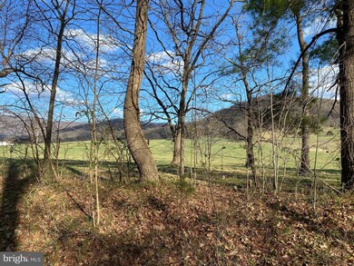 Lot 9 Jones Farm Rd, South River, VA 22610 - photo 4