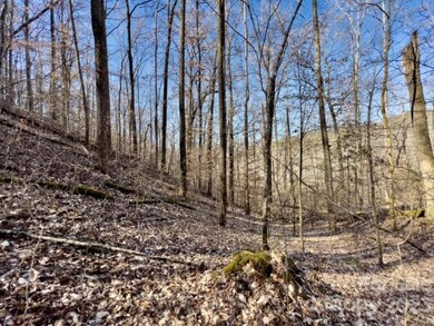 0 Bee Branch Dr unit CAR4027281, Cowee, NC 28734 - photo 7