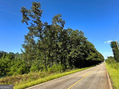 0 High Falls Rd unit 10592774, Jackson, GA 30233 - photo 4