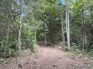 Tract 3/4 Terrapin Rd S, Harrison, AR 72601 - photo 7