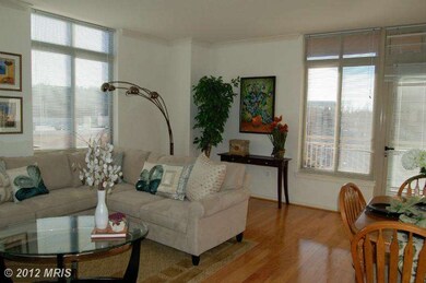 Elan East Market Condominiums unit 415, Fairfax, VA 22033 - photo 5