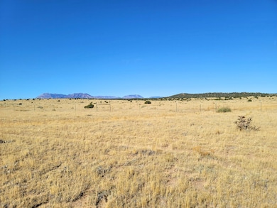 0 La Deora Blvd unit 25570437, Walsenburg, CO 81089 - photo 3