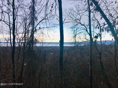 views of the waters of the Knik Arm