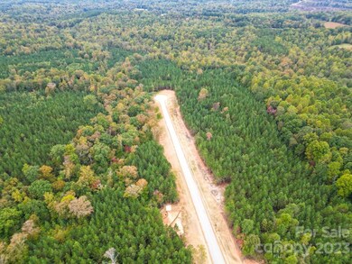 3A Hidden Forest Dr unit 3A, Denver, NC 28037 - photo 7