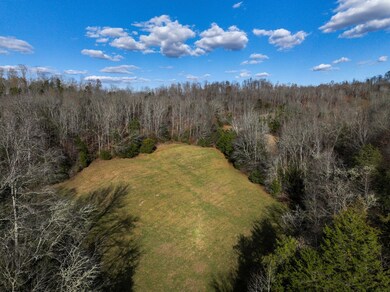 2938 Woods Prong Rd, Linden, TN 37096 - photo 5