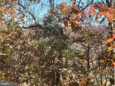 0 Hoods Point Rd, Basye, VA 22810 - photo 3