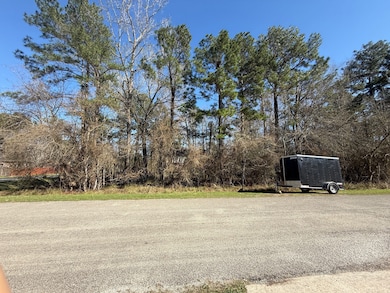 00 Dillon Dr, Magnolia, TX 77354 - photo 3