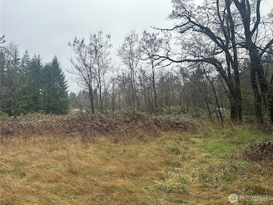 1 Concrete Sauk Valley Rd, Concrete, WA 98237 - photo 7