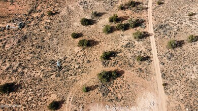Photo_6619437_DJI_301_jpg_4129291_0_2021