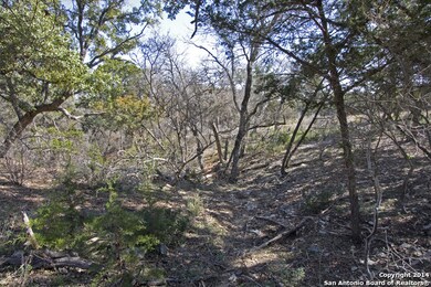 20748 Sams Ranch Rd, Helotes, TX 78023 - photo 6