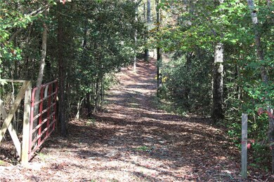 406 Dogwood Dr, Tamassee, SC 29686 - photo 5