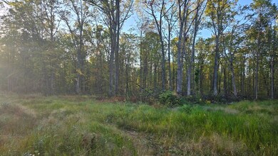 27th St 16th Ave, Sumner, WI 54868 - photo 2