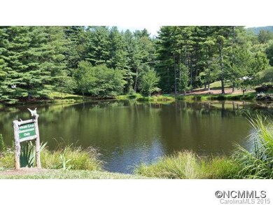 104 Meadow Lake Rd, Asheville, NC 28803 - photo 4