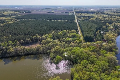 W3065 3rd St unit Grand View Shores Lo, Nekoosa, WI 54457 - photo 4