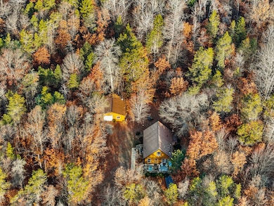 6972 W 7 Mile Rd, Grayling, MI 49738 - photo 7