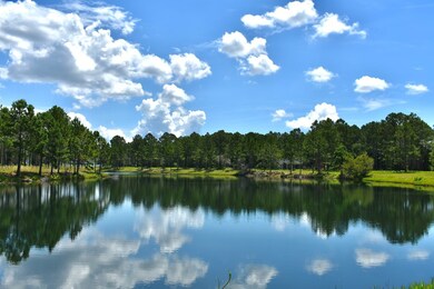 1622 Ashantilly Dr, Darien, GA 31305 - photo 5