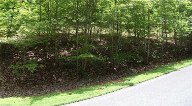 #3 Caraway Summit Trail, Sophia, NC 27350 - photo 2