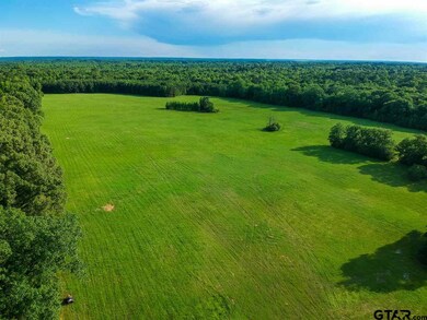 3916 S Kings Hwy, Texarkana, TX 75501 - photo 3