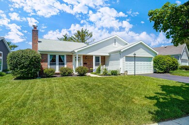 Lovely Yard and Landscaping