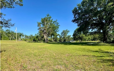 TBD County Road 132, Live Oak, FL 32060 - photo 4