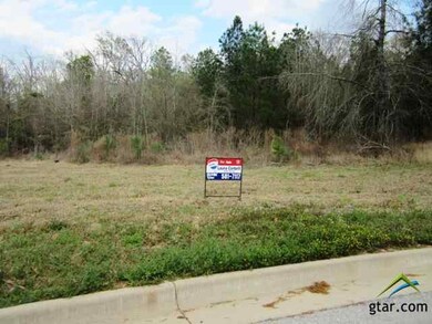 1417 Covewood Dr, Tyler, TX 75703 - photo 4