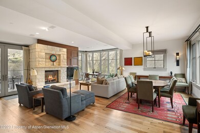 101 N Spring St unit 302, Aspen, CO 81611 - photo 2