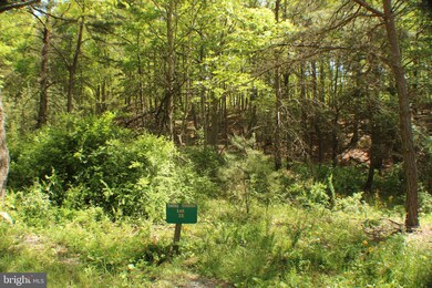 28 Ewing Dr, Capon, WV 26801 - photo 6