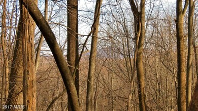 0 Piedmont unit 1002535310, Washington, VA 22747 - photo 7