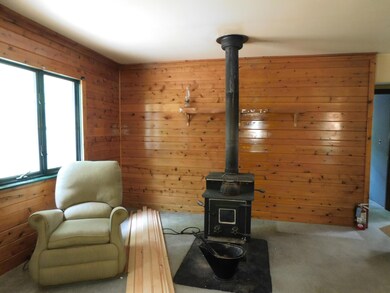 1250 W Woodland Park Dr, Bitely, MI 49309 - photo 4