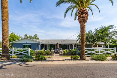 1 - Palm