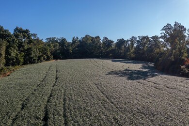 1196 Hoot Rd, Spencer, IN 47460 - photo 4