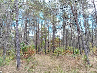 1433 S Peacock Trail, Baldwin, MI 49304 - photo 7