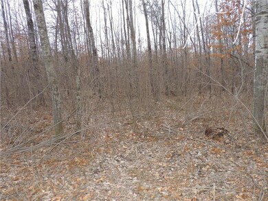 LOT 4 Minerva Dam Rd, Swiss, WI 54830 - photo 7