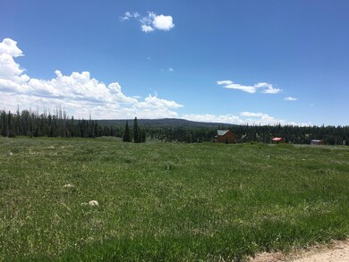 The Property