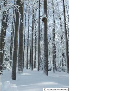 44 Tan Vat Rd, Rumson, NJ 07760 - photo 7