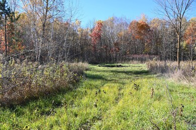 27727 Oberon Loop, Moran Township, MN 56438 - photo 7