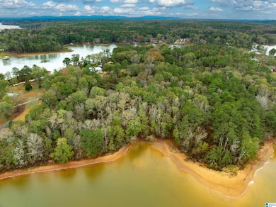 0 Annesley Dr unit 21438186, Pell City, AL 35128 - photo 6