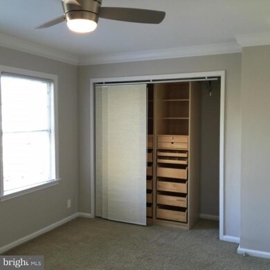 6611 10th St unit C1, Alexandria, VA 22307 - photo 7