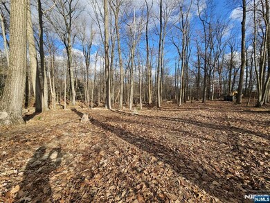 34 Starlight Dr, Morristown, NJ 07960 - photo 4