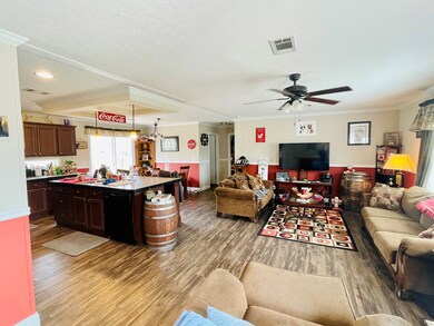 3460 Ernest Pridgen Rd, Wray, GA 31798 - photo 4