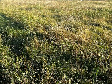 34330 Fm 521 Rd, Angleton, TX 77515 - photo 7