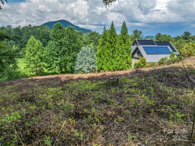 37 Bear Flower Tr unit 35B, Arden, NC 28704 - photo 7