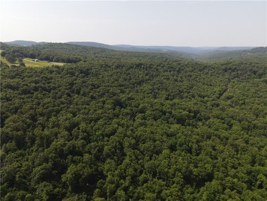 Beautiful views of the Ozark Mountains
