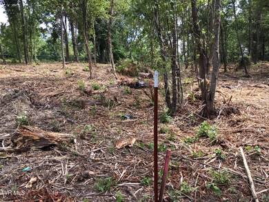 7 Laws Rd, Greeneville, TN 37743 - photo 5